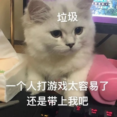 搞笑表情包头像图片