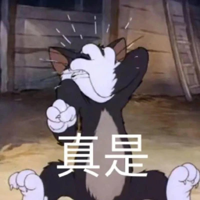 搞笑表情包头像图片