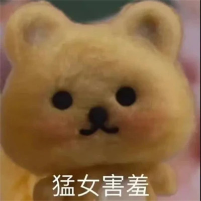 搞笑表情包头像图片
