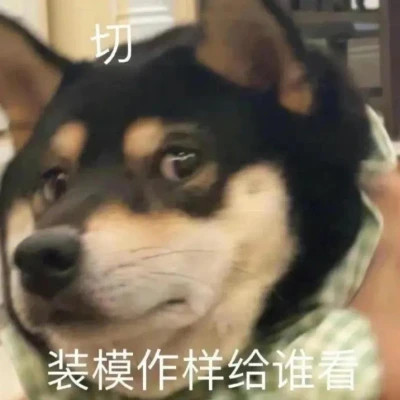 搞笑表情包头像图片