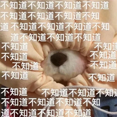 搞笑表情包头像图片