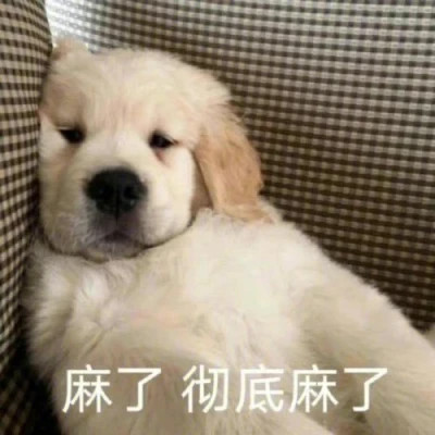 搞笑表情包头像图片