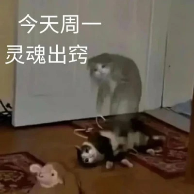 搞笑表情包头像图片