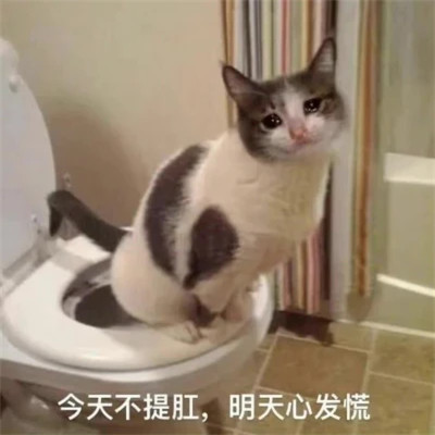 搞笑表情包头像图片
