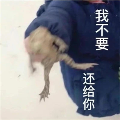 搞笑表情包头像图片