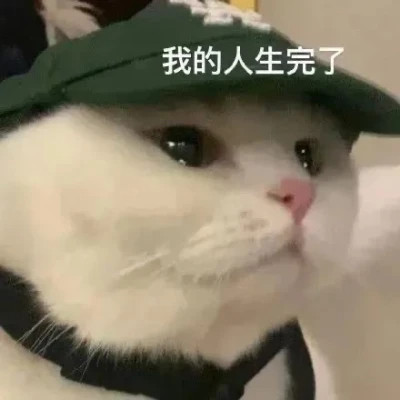 搞笑表情包头像图片