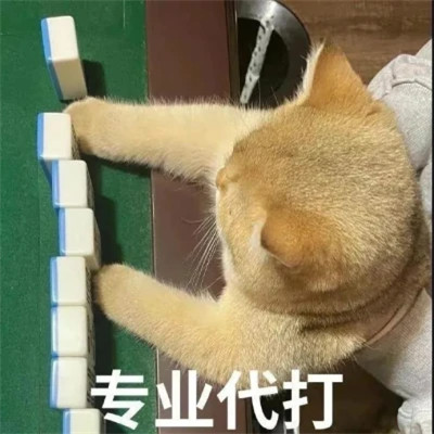 搞笑沙雕表情包头像图片高清