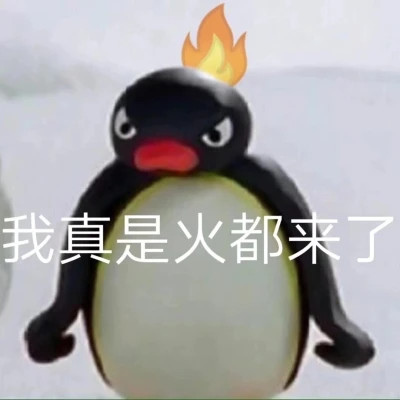 搞笑沙雕表情包头像图片高清