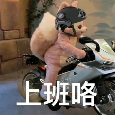 搞笑沙雕表情包头像图片高清