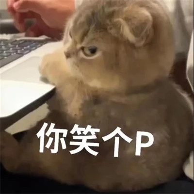 搞笑沙雕表情包头像图片高清