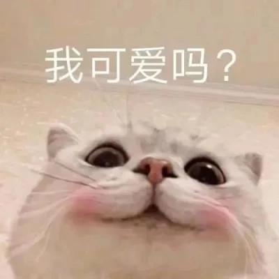 聊天必备100张表情包头像