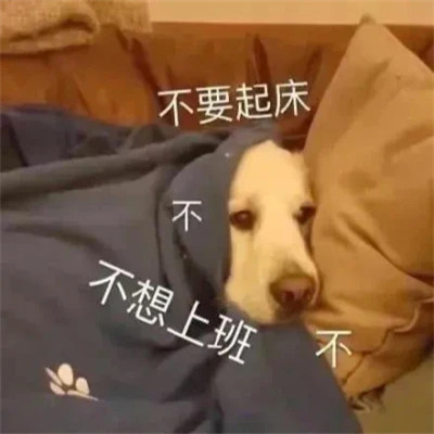 聊天必备100张表情包头像