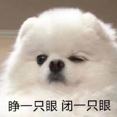 2025表情包头像图片