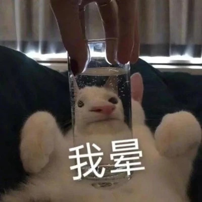 2025表情包头像图片