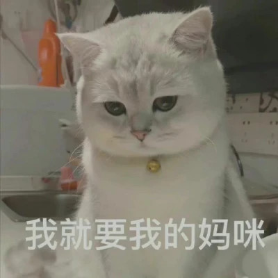 2025表情包头像图片