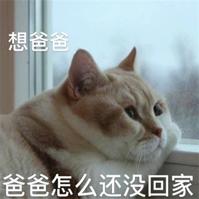 2025表情包头像图片