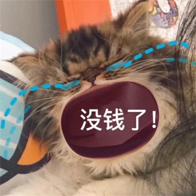 2025表情包头像图片