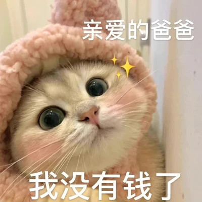 2025表情包头像图片