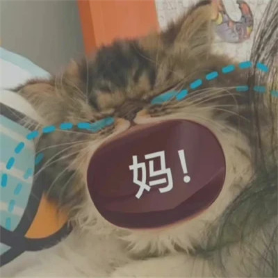 2025表情包头像图片