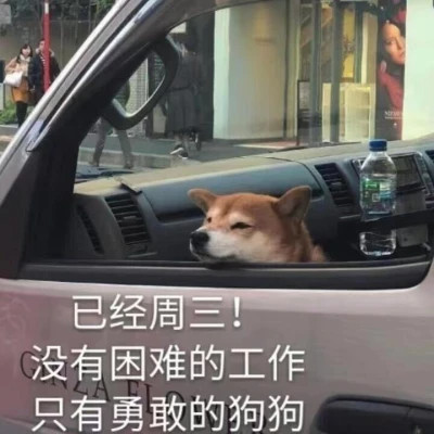 又沙雕又可爱的头像图片