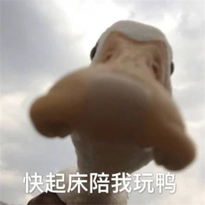 又沙雕又可爱的头像图片