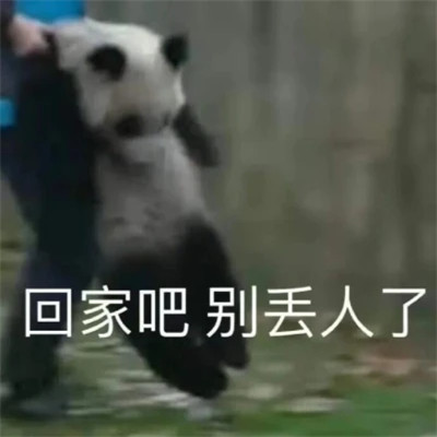又沙雕又可爱的头像图片