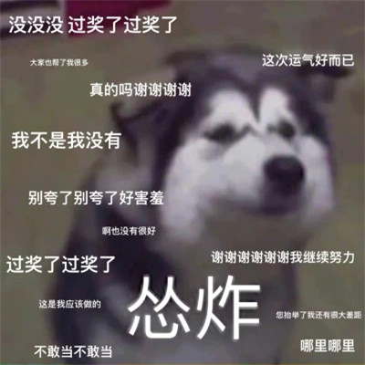 又沙雕又可爱的头像图片