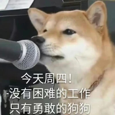 又沙雕又可爱的头像图片