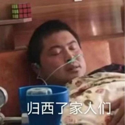 又沙雕又可爱的头像图片