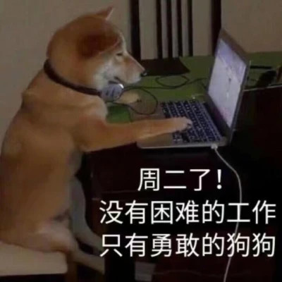 又沙雕又可爱的头像图片