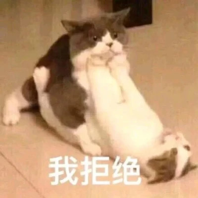 又沙雕又可爱的头像图片