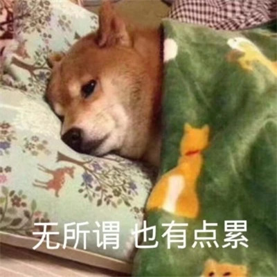 又沙雕又可爱的头像图片