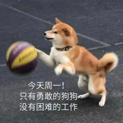 又沙雕又可爱的头像图片