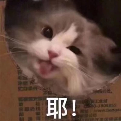 又沙雕又可爱的头像图片
