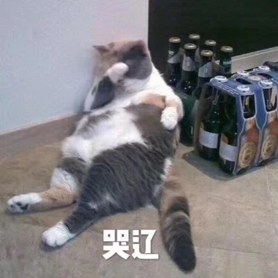 又沙雕又可爱的头像图片