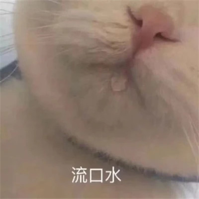 又沙雕又可爱的头像图片
