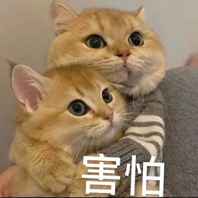又沙雕又可爱的头像图片