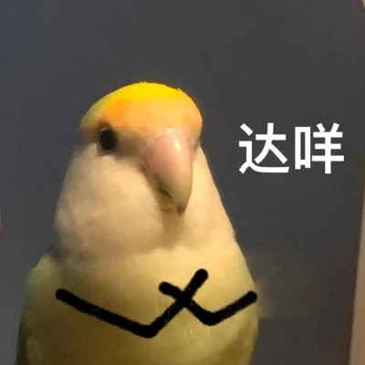 又沙雕又可爱的头像图片