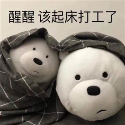 又沙雕又可爱的头像图片