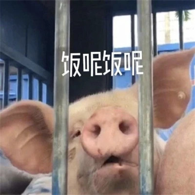 适合当头像的表情包