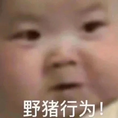 适合当头像的表情包