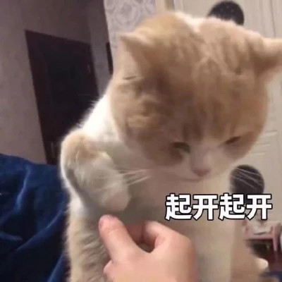 适合当头像的表情包
