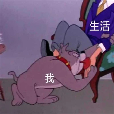 适合当头像的表情包