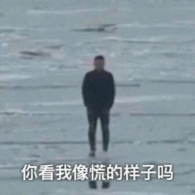 适合当头像的表情包