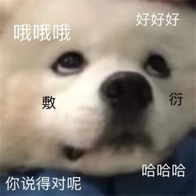 适合当头像的表情包