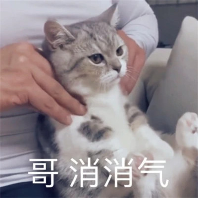适合当头像的表情包