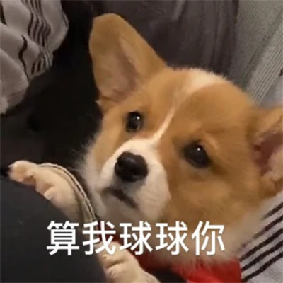 适合当头像的表情包