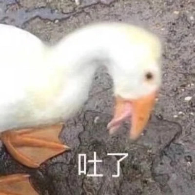 适合当头像的表情包