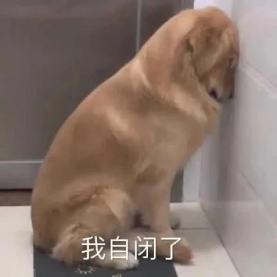 2025表情包最火头像图片