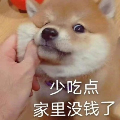 2025表情包最火头像图片